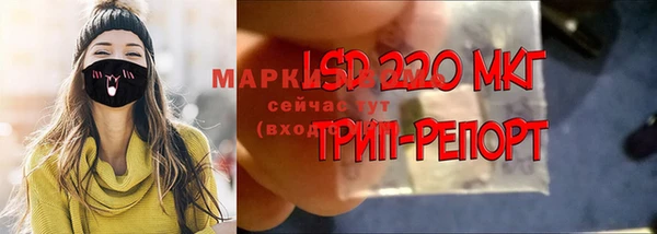 spice Алзамай