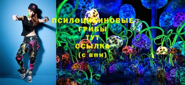 ПСИЛОЦИБИНОВЫЕ ГРИБЫ Алексин