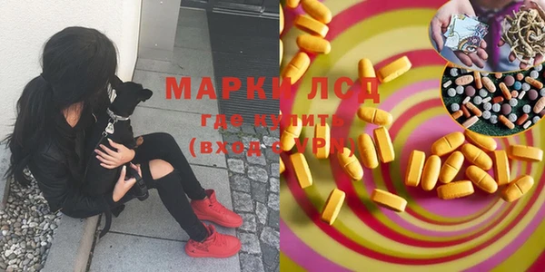 spice Алзамай