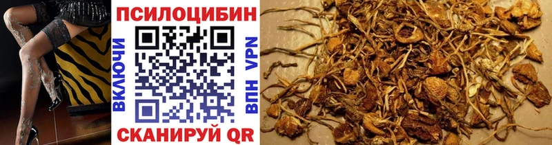 hydra tor  Гаджиево  Псилоцибиновые грибы MAGIC MUSHROOMS  где найти  