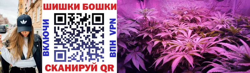 Бошки Шишки White Widow  купить наркотики сайты  Гаджиево 